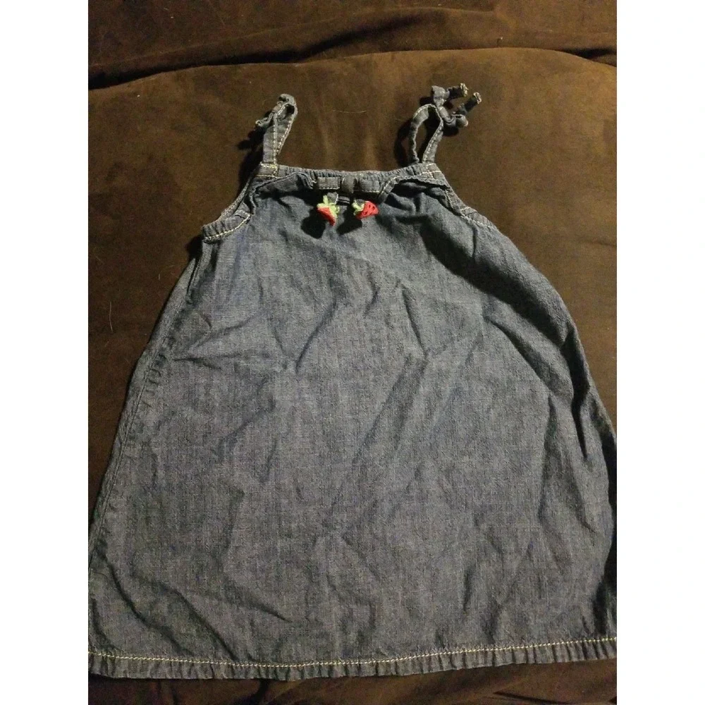 Gymboree outlet burst of‎ spring dress 12 18 months